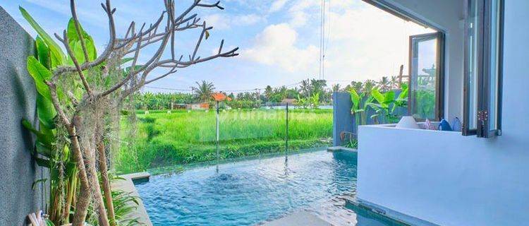 Beautiful villa with rice field views in Singakerta, Ubud 1