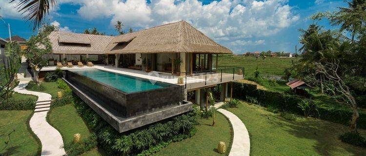 Own a Luxury Villa Built to European Standards with Rice Field view in Padonan Canggu.. 5,5km to Montessori School... 6km to Canggu Beach and 12km to Green School  1