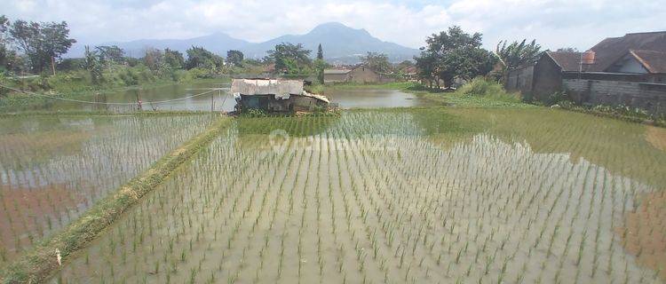 Tanah Murah Di Cibiru Bandung 1