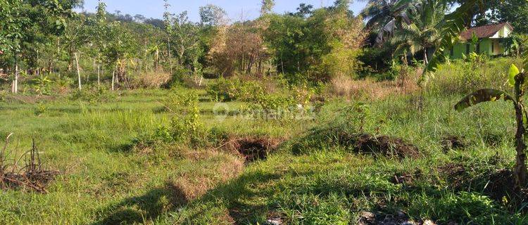 Tanah Di Limbangan Tengah Garut 1