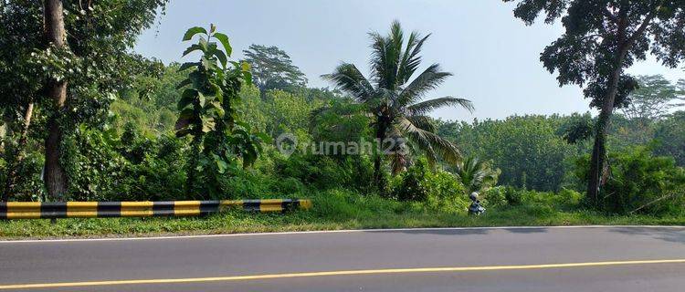 Jual Tanah Di Ciamis Jawa Barat 1