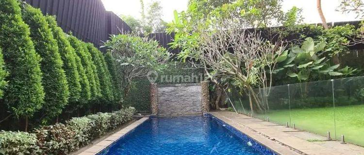 Rumah di Pejaten barat Tropical Modern Super Cozy 1