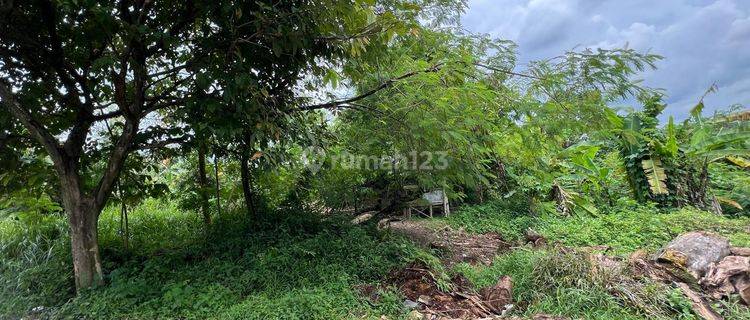 Anah Cocok Untuk Cluster Perumahan Dekat Gua Maria Bukit Kanada Rangkasbitung Banten 1