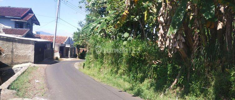 Tanah Matang Murah Di Atas Jalan Tanjungsari Rancakalong Sumedang 1