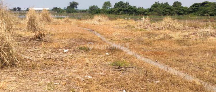 Disewakan Tanah Industri Di Jl Raya Lingkar Timur Sidoarjo Jawa Timur 1