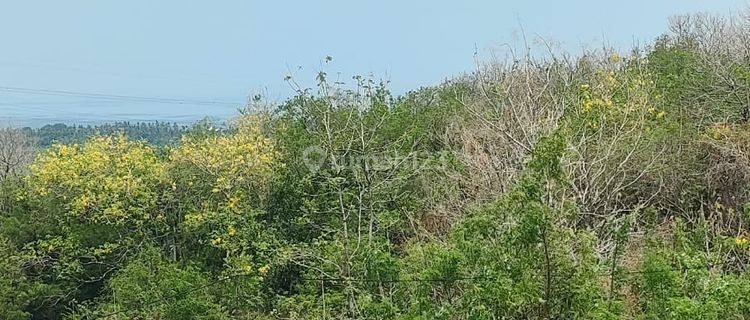 Land with Sea View in Lovina, Kaliasem Buleleng SHM 4,000 m² 1