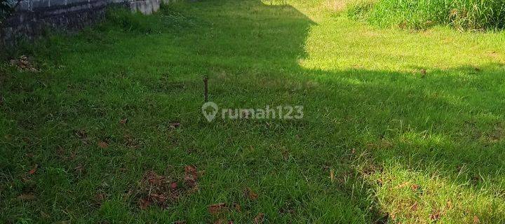 Tanah Sawah SHM Strategis di Pinggir Jalan Dekat Ringroad Sewon Bantul 1