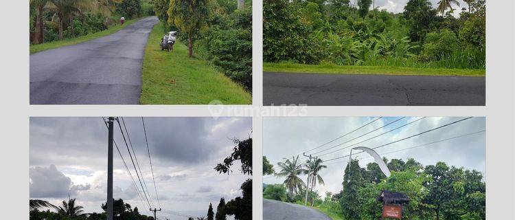 Buc Land on the Side of the Main Road With Ocean and Hill View 1