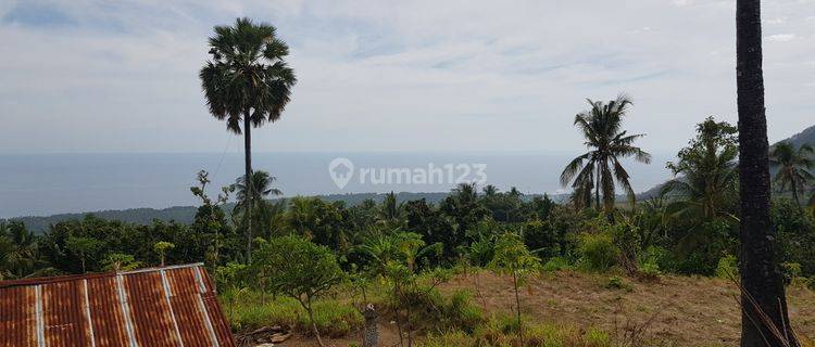 Turun Harga Buc Tanah View Laut Dan Bukit Pinggir Jalan Utama di Tejakula Buleleng 1