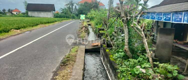 BUC 4 Are Pinggir Jalan Utama  View Ocean Sawah di Pering Gianyar  1
