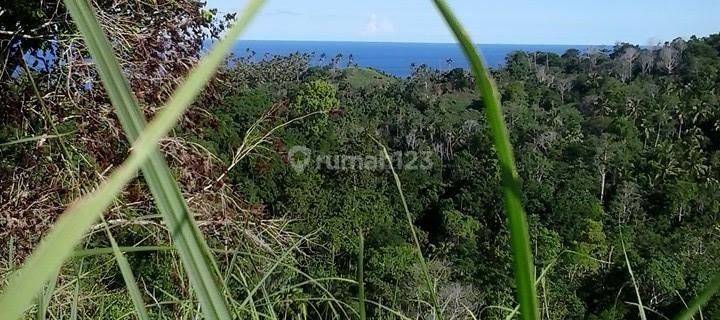 LAHAN BAGUS DEKAT PANTAI 1