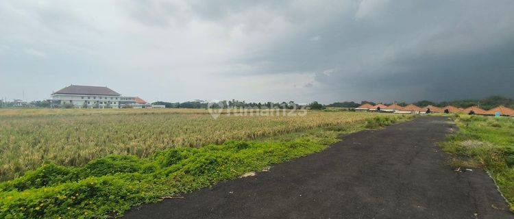 Kavling Leasehold View Sunset dan sawah hijau, cocok untuk Villa, di Nyitdah, Tabanan dkt Pantai Kedungu & Canggu 1