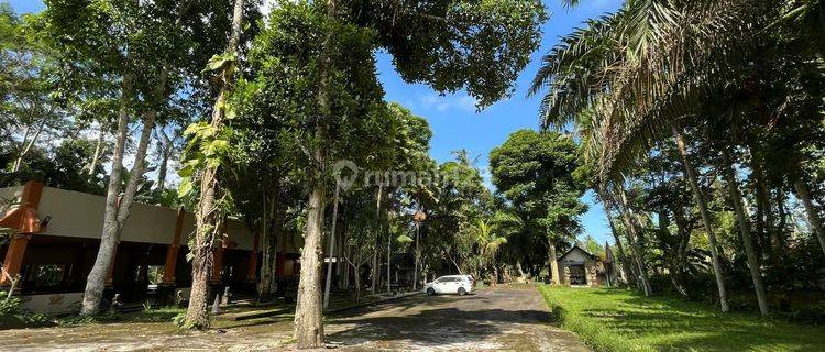 Dijual Tanah Bonus Bangunan Villa Hrg Nego 15 M @Pupuan, Gianyar 1