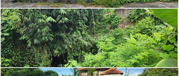 Land for sale River View Global Negotiable 1 M-an @Penatih Dangin Puri 1