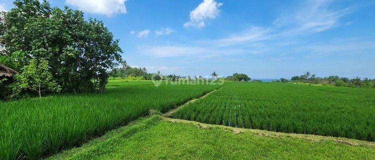 Beachfront Land Plots, Starting from 7 Million/m² in Belong Beach, Tabanan 1