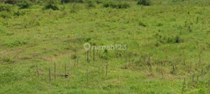 Jual tanah kesamben jombang murah shm 1