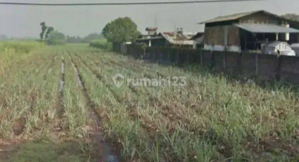 Tanah industri murah raya karangwinongan mojoagung jombang 1