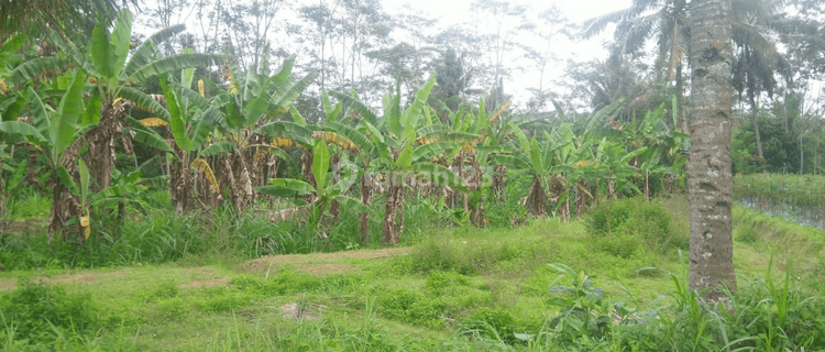  Tanah 640 M Tepi Jalan Tegalrejo Dekat Ponpes Api Tegalrejo 1