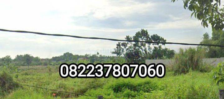 Dijual tanah Banyuwangi 
4,5ha (45.000m2)  1