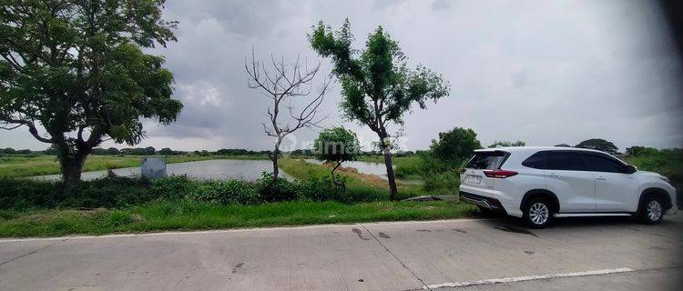 Jual tanah MURAH di raya betoyo Manyar, Gresik , Jawa Timur  1