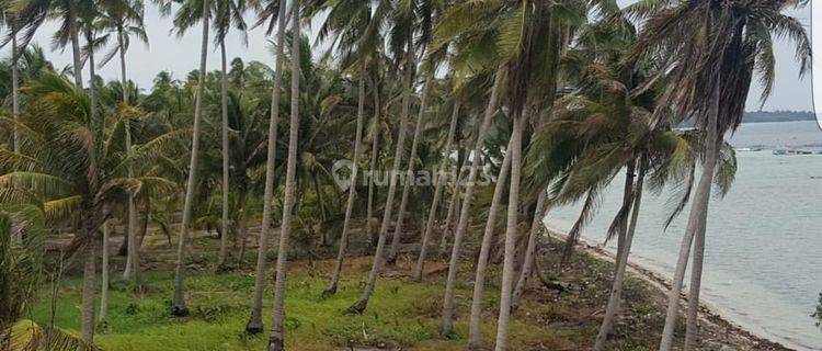 Dijual Tanah di Depan Pantai di Belitung Timur, Bs Utk Bangun Hotel 1