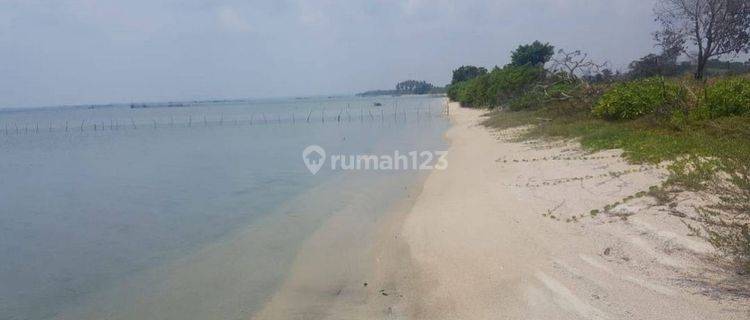 Dijual Cepat Tanah di Kepulauan Belitung Dekat Pantai Murah 650 Ribu m2  1