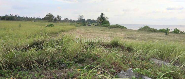 Jual Murah Rp 650 Ribu M2 , Tanah 2 Ha Hanya 200 Meter Dari Pantai di Pulau Belitung  1