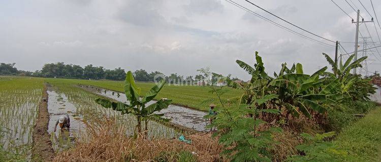 Tanah Industri Bulusari Carat Gempol, Sangat Cocok Untuk Pabrik 1