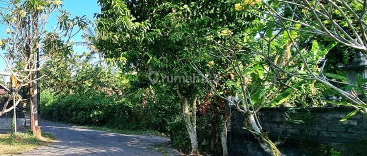 Beautiful Ocean View Freehold Land Tourism Zoning Kelanting Beach Tabanan Bali 1