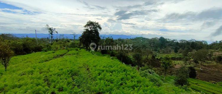 Amazing Mountain And Sunset View Freehold Land Investment In Gesing Buleleng Regency  1