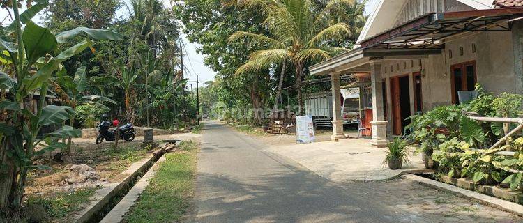 Murah Tanah di Jogja, Lingkungan Nyaman Dan Aman 1