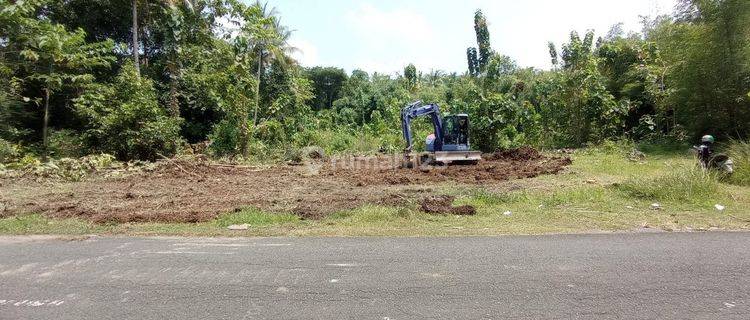  Investasi Cerdas Miliki Tanah di Jogja Timur Yia 1