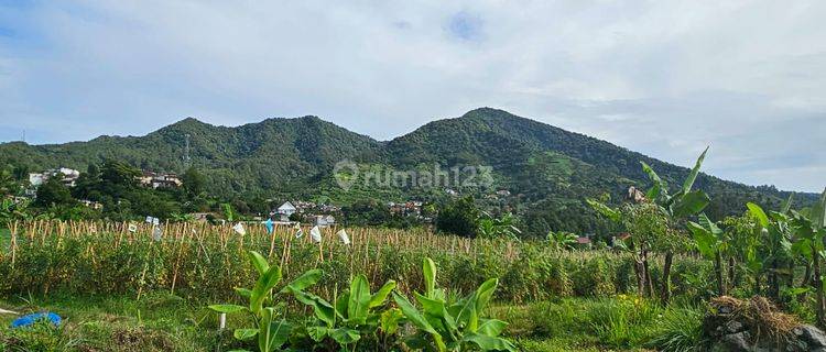 Jual Tanah Coolibah Puncak View Gunung 5220m2 1