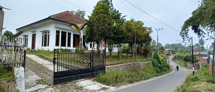 Rumah di Jl. Tulus Ayu Tumpang Kab Malang SHM Bagus Barat Daya 1