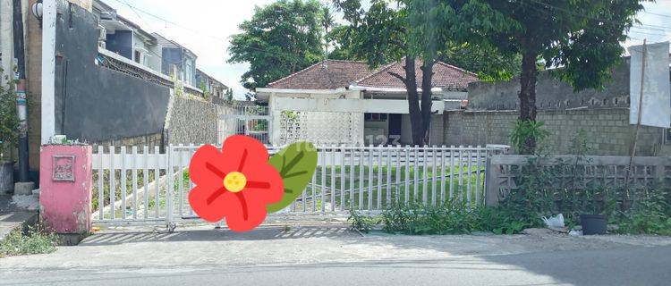Rumah di Selatan Amplaz, cck untuk usaha & kantor.Parkir luas & teduh pepohonan. 1