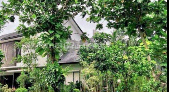 Rumah Mewah dan Asri Virginia Lagoon BSD City Homey 1