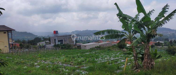 Tanah Kavling Luas 535 M2 Murah Lembang View Menawan Bandung  1