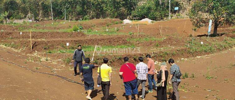 KAVLING MURAH SINDANG LAYA 120 JUTA JALAN RAYA ARCAMANIK BANDUNG  1