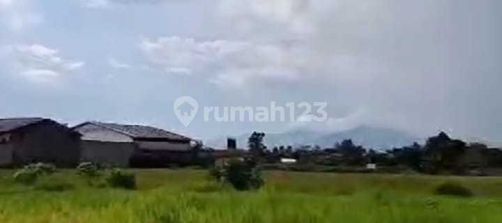 Jual Tanah Padat Siap Bangun Strategis Cocok Untuk Cluster  1