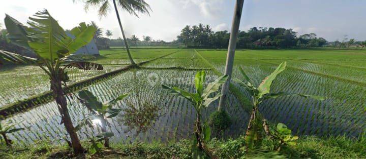 Jual Tanah Sawah Cocok Ut Perumahan,pabrik di Ciranjang Cianjur 1