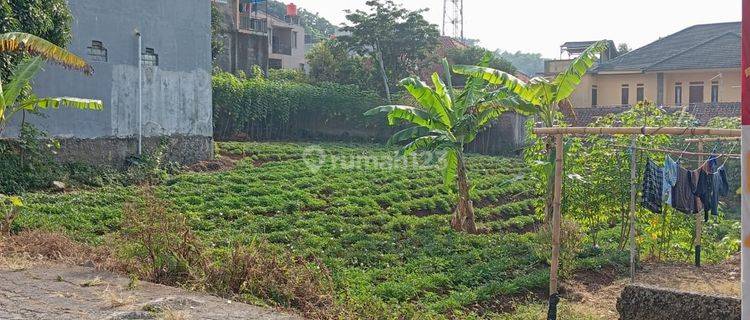 Tanah Di Jatinangor Cocok Buat Kos kosan 1