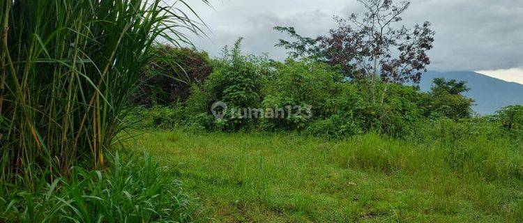 Tanah Murah Siap Bangun Potensial Lokasi Dekat Wisata Kota Batu 1