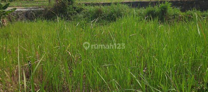 Tanah Subur Super Murah Untuk Kebun Atau Sawah Udara Sejuk Kota Batu 1