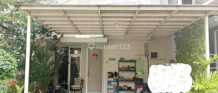 Grand Pakuwon Rumah 2lt Siap Huni Bagus Terawat Jarang Ada 1