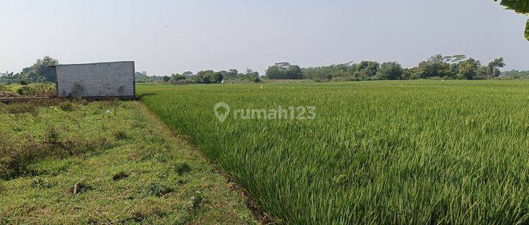 Tanah Murah Luas 101 Ha Pasuruan Bisa Buat Industri Perumahan. Gudang 1