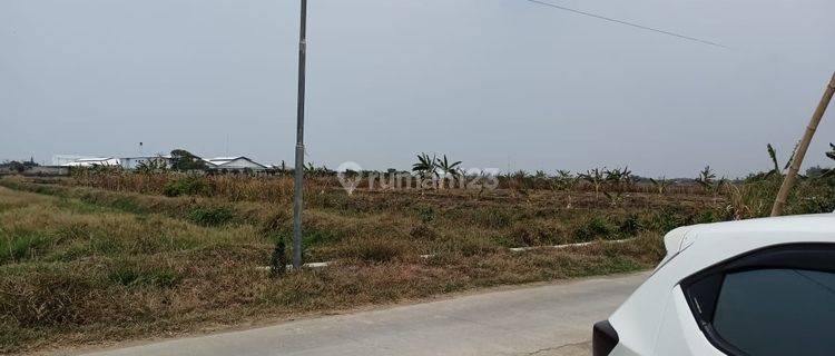 Di jual tanah zona industri tambak gading rejo pati - juwana 1