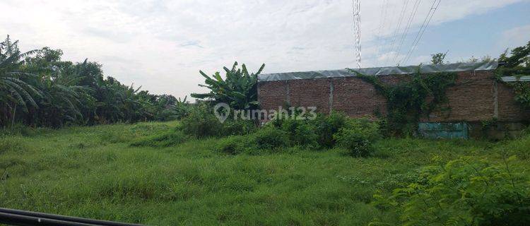 Disewakan.tanah Siap Bangun Tengah Kota Raya Jolotundo 1