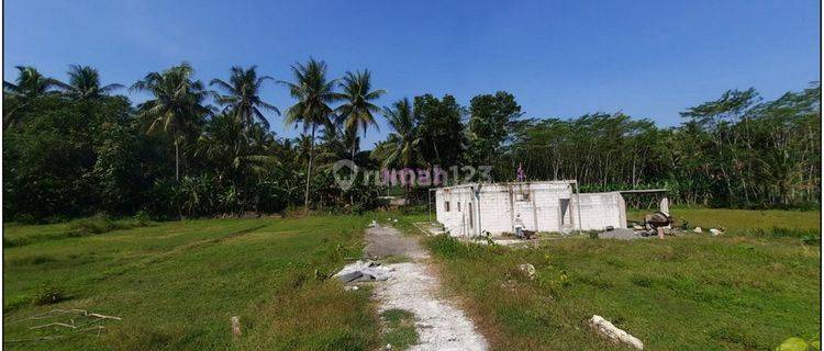Tanah Murah Nanggulan Kulon Progo Dekat Sma N 1 Sentolo, SHM 1