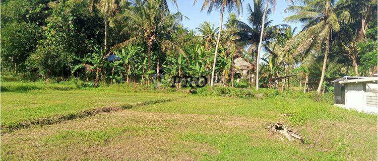 Dekat Polsek Sentolo, Tanah Murah Nanggulan, Cocok Hunian 1
