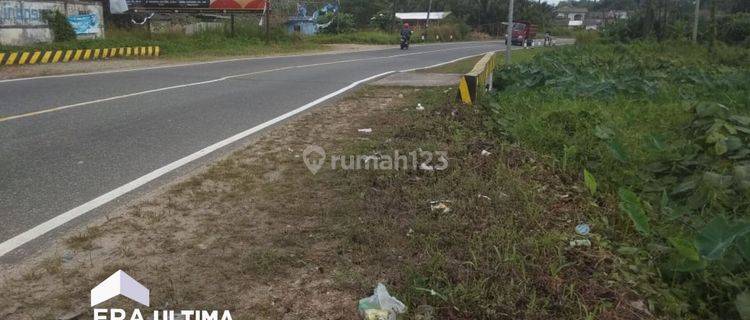 Tanah Di Jl. Raya Pangkal Pinang Sungailiat Bangka Belitung 1